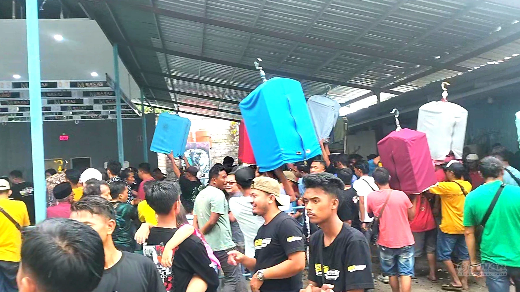 kicau mania