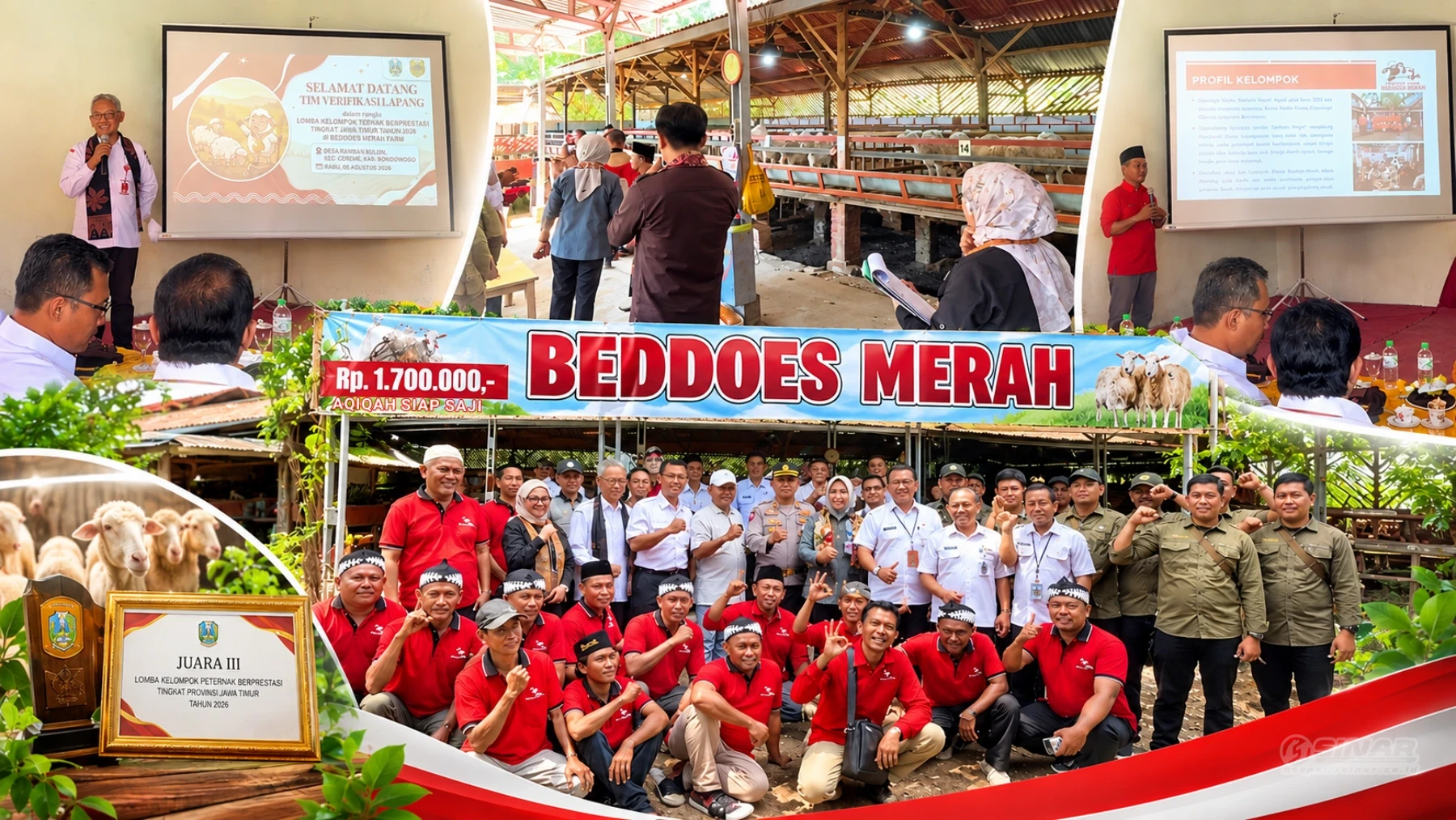 Beddoes